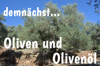 Olivenoel aus Mallorca